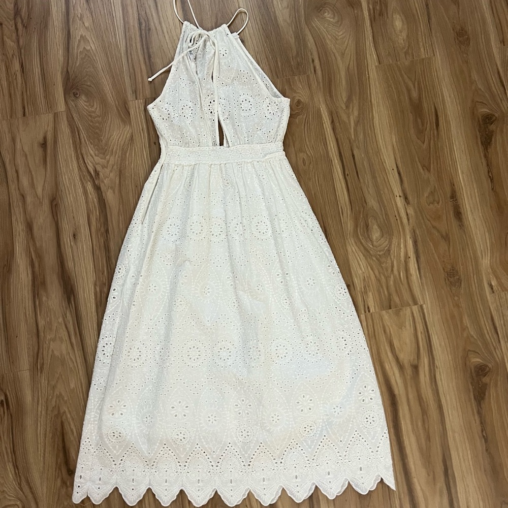 Beautiful Zara Dress NWOT